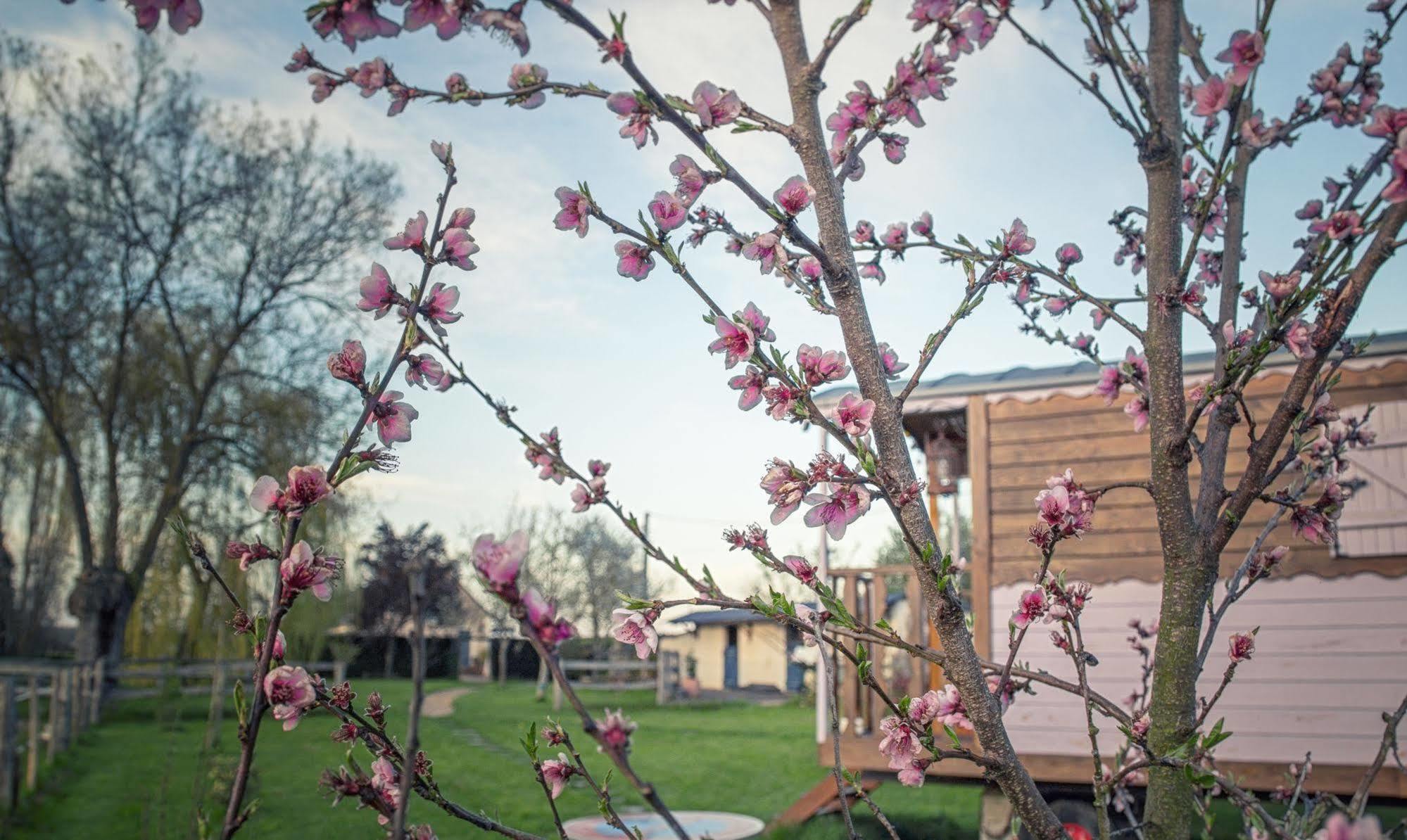 Villa Les Roulottes de la Brauderie à Brissarthe Extérieur photo